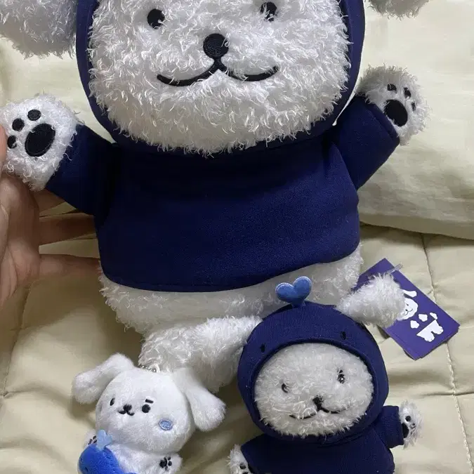 Chae Boogi Mungko Face Cushion Monsta X Mon-Moongchi Hyungwon