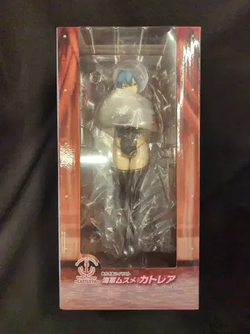 유니온 크리에이티브 아카사아이 해군 무스메 카틀레아