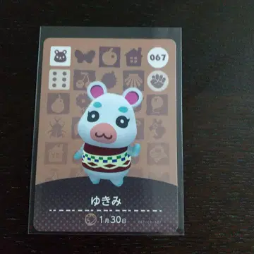 amiibo 카드 동물의 숲 유키미
