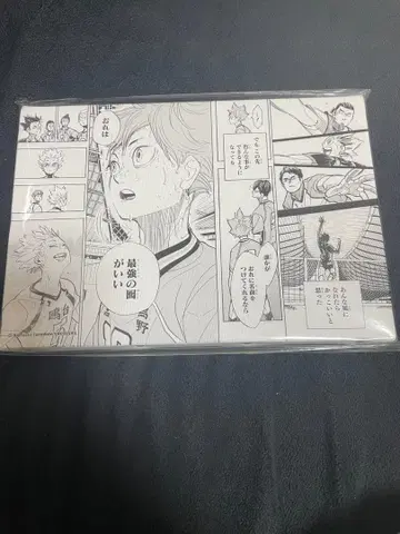 하이큐 아트 보드 히나타 쇼요 카라스노 고교