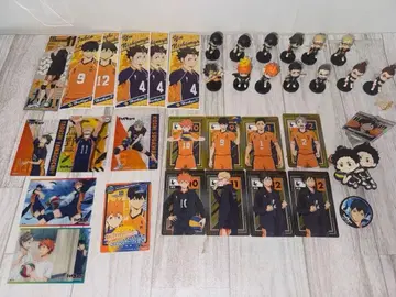 하이큐!! 카라스노 고교 정리