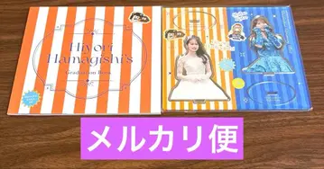 히나타자카 졸업 세레모니 사진 소책자 멤버 아크릴 스탠드 하마기시 카토