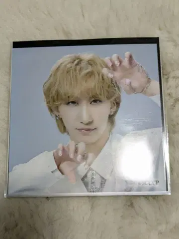 캐터리아 벵갈 후쿠자와 유 네일 브로마이드 회장 한정판