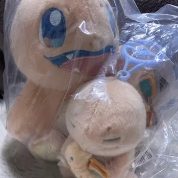 Little Daydream 파이리와 리자몽 2세트