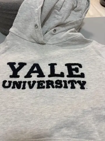 Yale University 예일 대학교 후드 부착 후드티 그레이