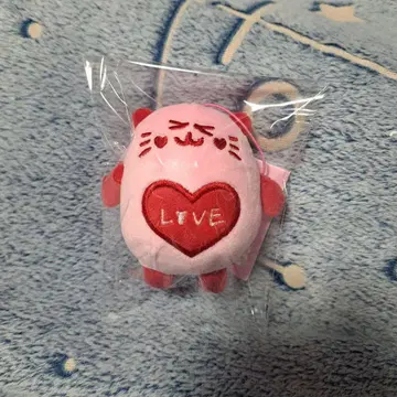 ASTRO 문빈 냥냥 ROROHA 봉제 인형 마스코트 미사용품