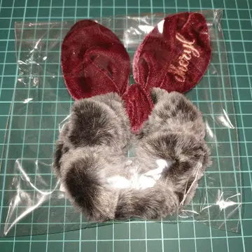 마크로스F 갤럭시 라이브 2021 셰릴 스크런치