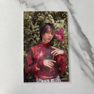 코마키네 아오타 달력 2026 카레이베 혜택 포토 카드 (하카타 한정판)