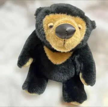 택 포함 모슈유 곰 봉제 인형 블랙 블랙베어 Mon Seuil