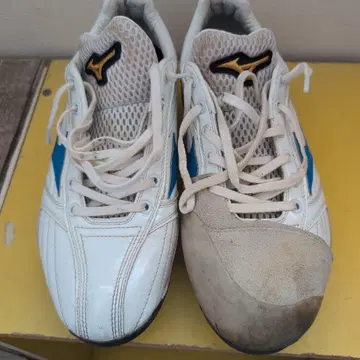 미즈노 프로 오더 스파이크