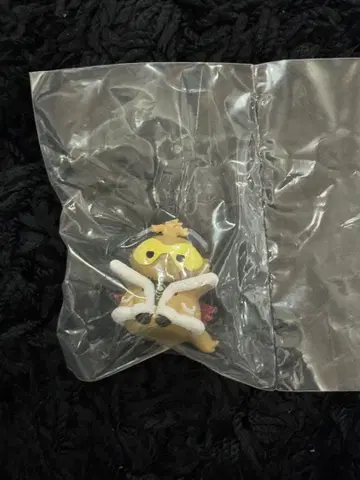 호크스 히로아카 냥코