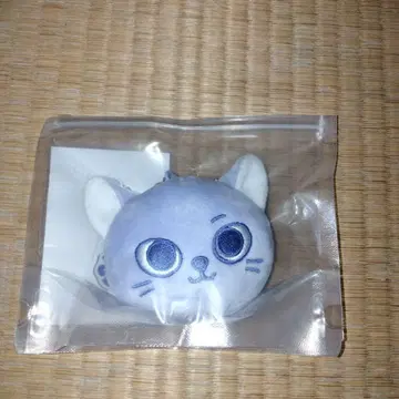 BOYNEXTDOOR BBNEXDO 푸넥도 키링 케피 손호