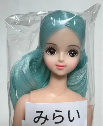 리카짱 캐슬 27BD 오타노시미 인형 미라이 시온 타마키