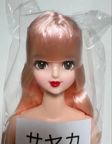 리카짱 캐슬 27BD 즐거운 인형 사야카 시온 타마키