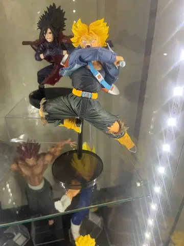 BWFC 우승 작품 트랭크스