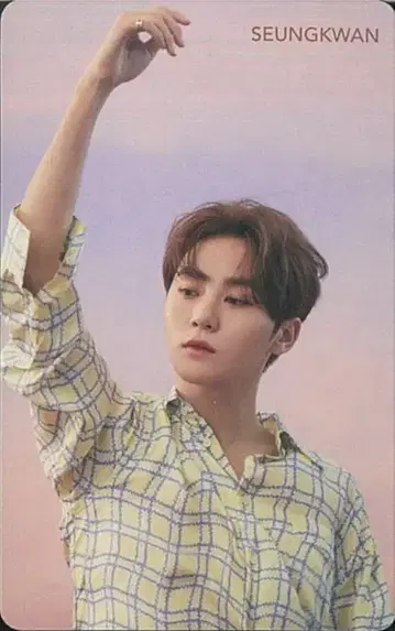 SEVENTEEN 떨어지는 꽃잎 SEUNGKWAN 트레이딩 카드 Pink