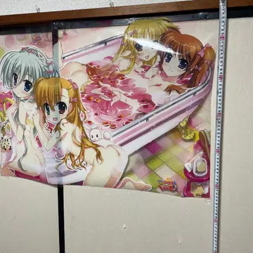 리리컬 나노하 클리어 포스터