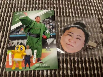 스모 와카타카게 헤어핀 & 이치야마모토 스모 카드 세트