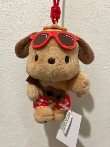 일광화상 포차코 하와이 한정판