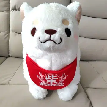 충견 모치시바 우메 초 BIG 봉제 인형 초 빅