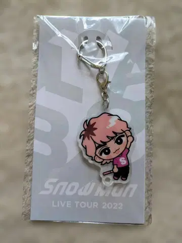 Snow Man LIVE TOUR 키링