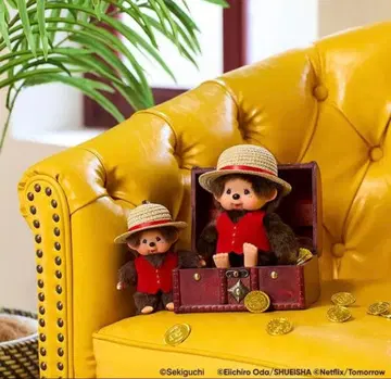 몽치치 x 루피 원피스 ONE PIECE 루피 몽치치