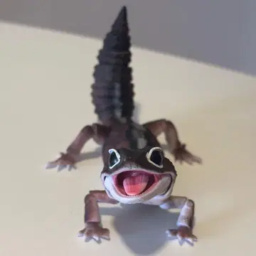 생물대도감 어드밴스 니시아프리카 도마뱀붙이 패턴리스 스트라이프