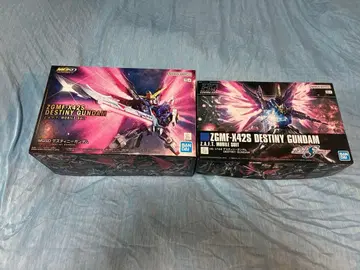 MGSD & HG 데스티니 건담