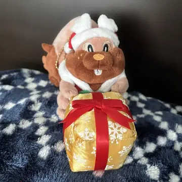 포켓몬 센터 Pokmon Christmas Wonderland 요쿠바리스