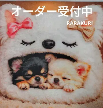 치와와 토이 푸들 포메라니안 시바견 말티즈 퍼그 주문 접수 중