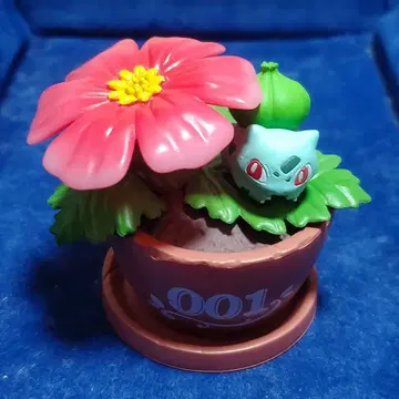 이상해씨 리멘트 포켓몬스터 Pocket Botanical