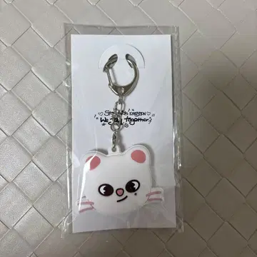 스키즈 키 커버 현진 지니레트 전시회 StrayKids