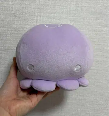 에노스이 해파리 봉제 인형 쿠지 3등