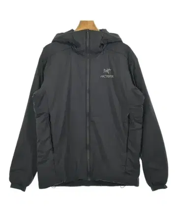 아크테릭스 다운 자켓/다운 베스트 남성용