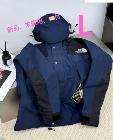 THE NORTH FACE GORE-TEX NF0A3XCO9B8