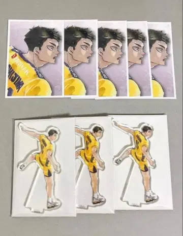 하이큐 우시지마 와카토시 추억 스냅 포토 카드 크로니클 아크릴 피규어