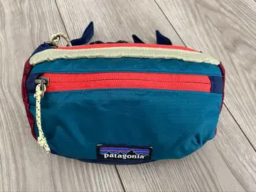 파타고니아 미니 힙 팩 바디백