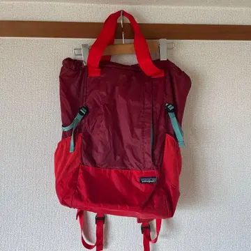 Patagonia 라이트웨이트 트래블 토트 팩