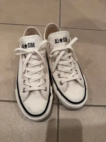 CONVERSE ALL STAR J OX 24cm