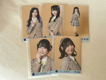 니지동 생사진 5세트 미개봉