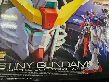 RG 데스티니 건담