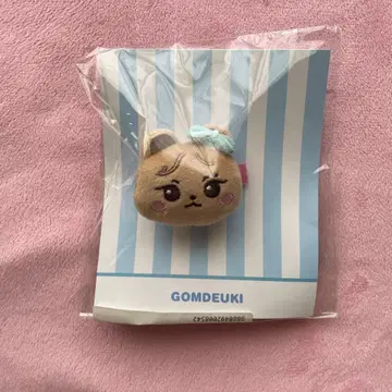 BLACKPINK GOMDEUKI 헤어 클립 앞머리 클립 제니