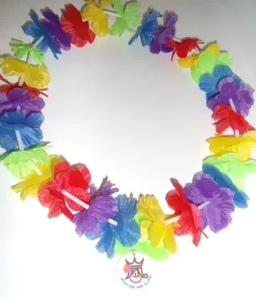 아라시 14년 BLAST in Hawaii 참 부착 레이