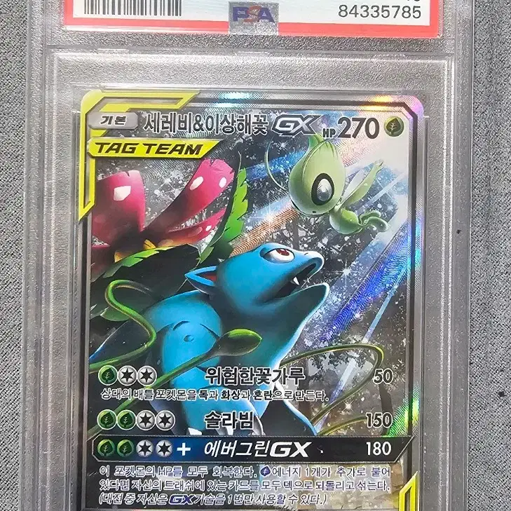 Pokemon Card Japanese Celebi CP5 PSA10 on Bunjang Global Site.