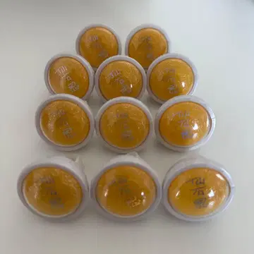 센고쿠 시노부 링 라이트