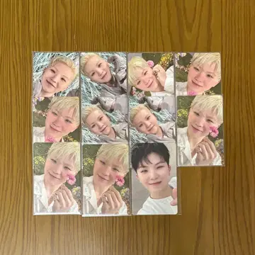 SEVENTEEN 우지 WOOZI SECTOR17 트레이딩 카드