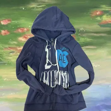 y2k 헤이세이 갸루 페어리 그런지 펑크 스타일 90s 발레코어 후드티