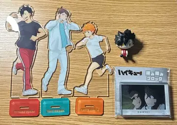 하이큐!! 제일복권 정점의 경치 아크릴 스탠드 아크스타 쌓기 블록