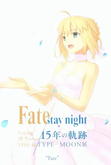 TYPE-MOON전 입장객 특전 가이드 마테리얼 Fate