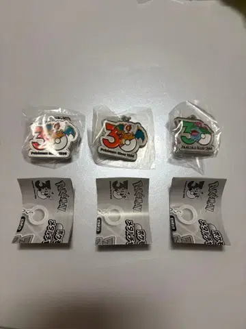 포켓몬 30주년 기념 메탈 참 마스코트